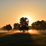 Morning Routine Image